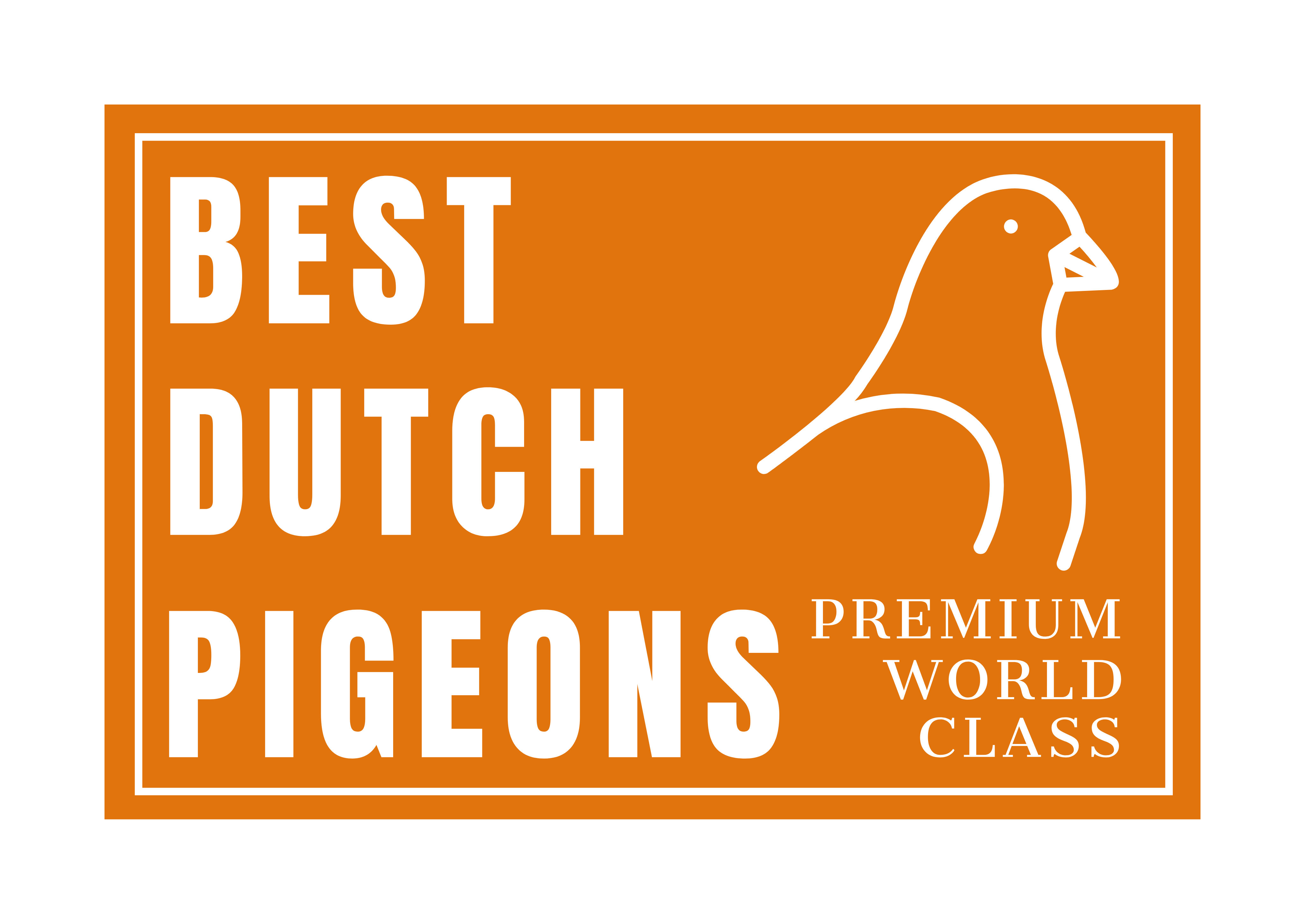 Best Dutch Pigeons